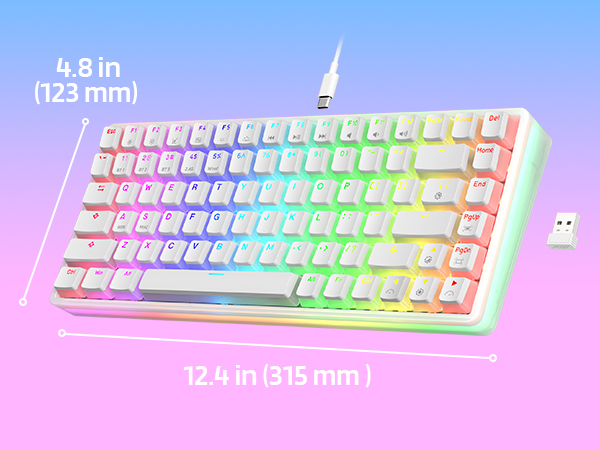 Keyboards-LTC-Neon75-Wireless-75-Triple-Mode-BT5-0-2-4G-USB-C-Hot-Swappable-Mechanical-Keyboard-84-Keys-Bluetooth-RGB-Compact-Gaming-Keyboard-Red-Switch-21