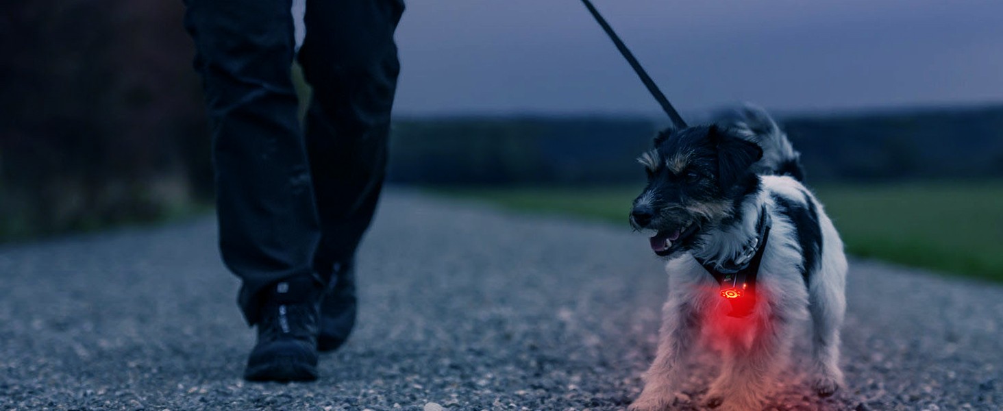 1779465789160701 1779465789160701