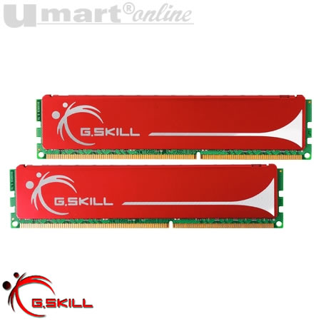 G Skill 4G(2x2G) DDR3 1600Mhz PC12800 9-9-9-24(CL9D-4GBNQ