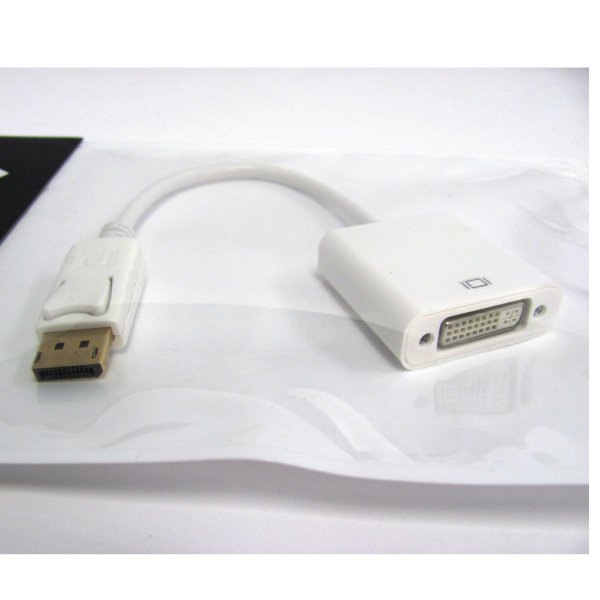 Skymaster Display Port Male to DVI Female Single cable