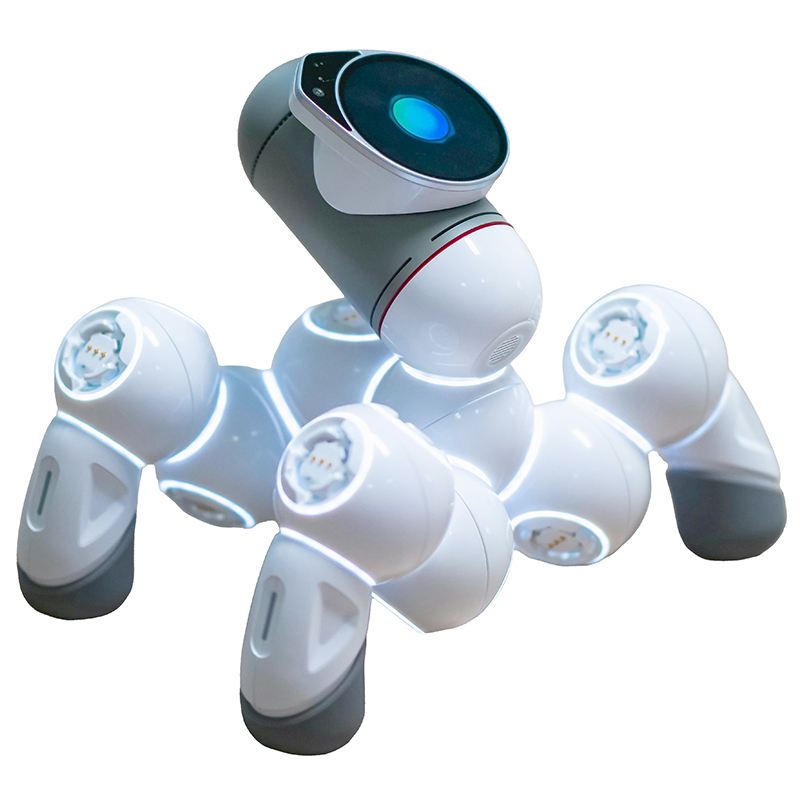 Smart Robot