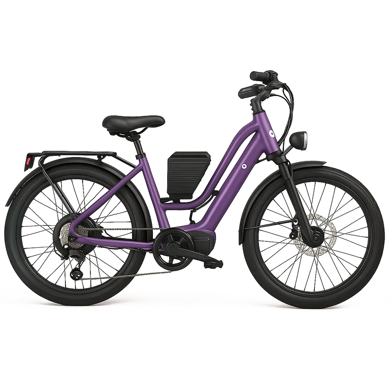 Electric Bicycles