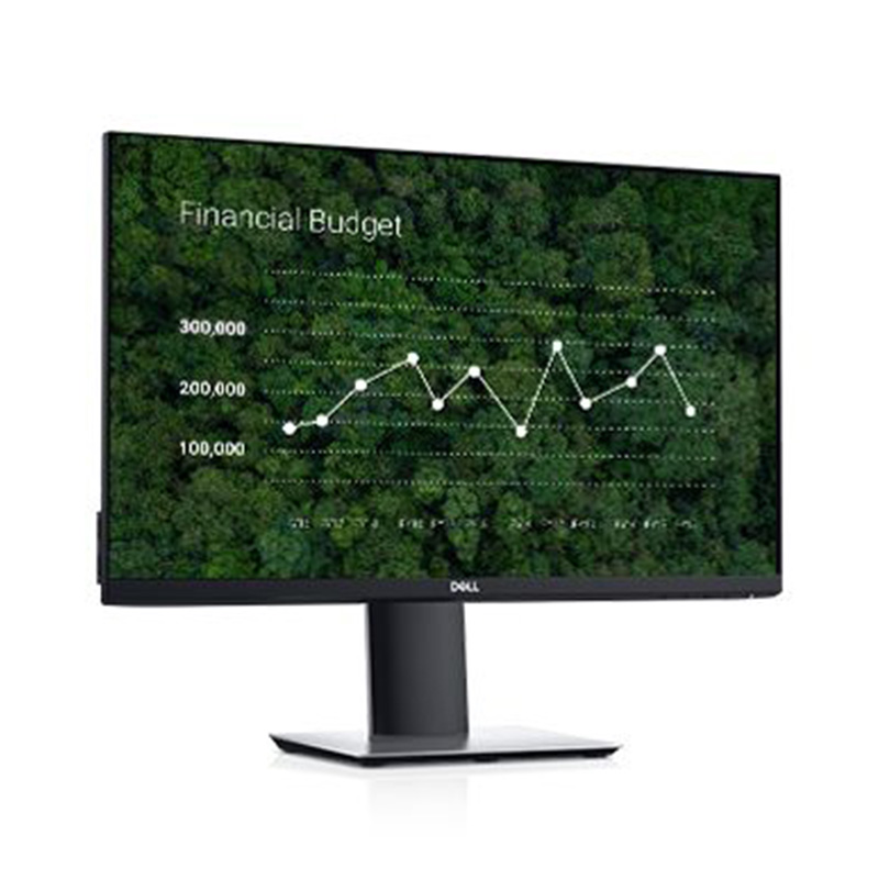 Dell 23.8in FHD IPS USB-C Business Monitor (P2419HC)