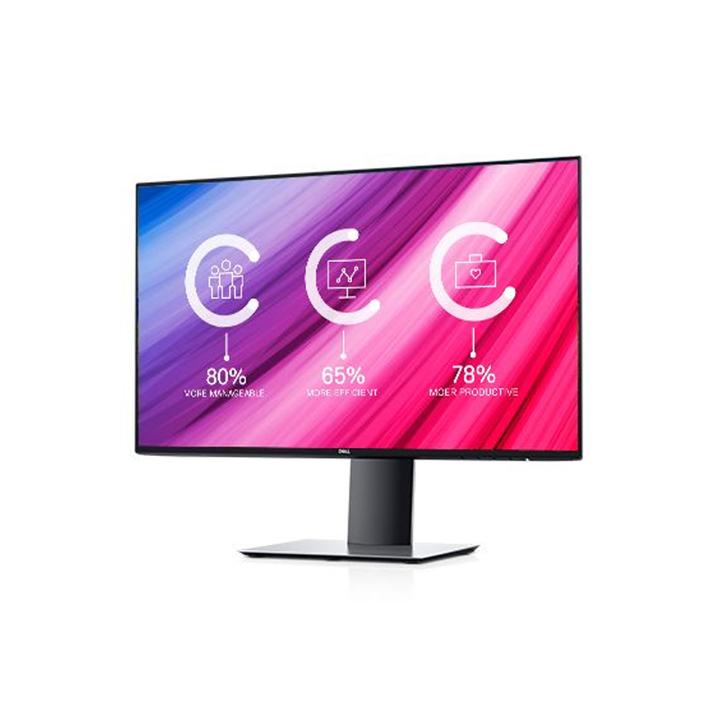 DELL 23.8in FHD IPS Monitor (U2419H)