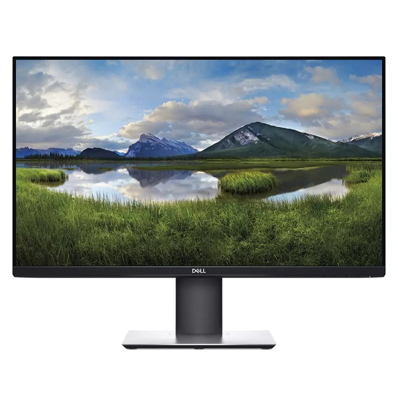 Dell 23in FHD IPS Monitor (P2319H)