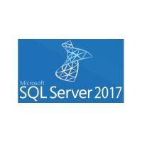 Microsoft 228-11135 SQLSvrStd 2017 SNGL OLP NL