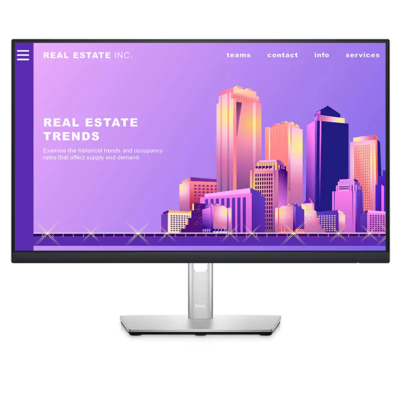 Dell 23.8in FHD IPS 60Hz Monitor (P2422H)