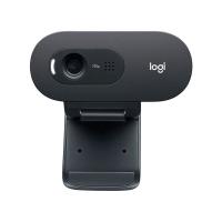 Logitech C505 HD USB Webcam