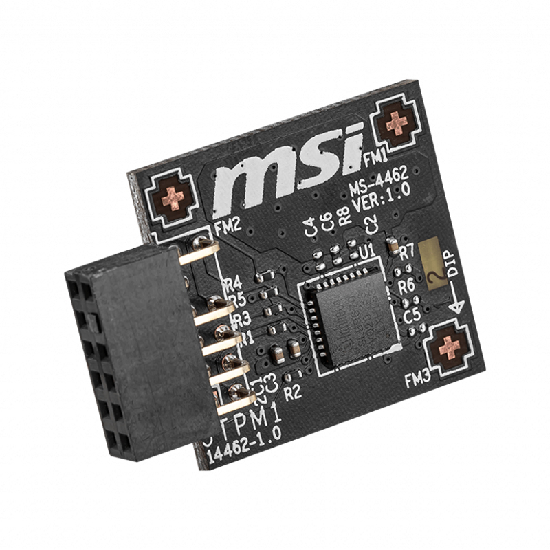 MSI TPM 2.0 MS-4462 Module (MSI TPM 2.0 - MS-4462)