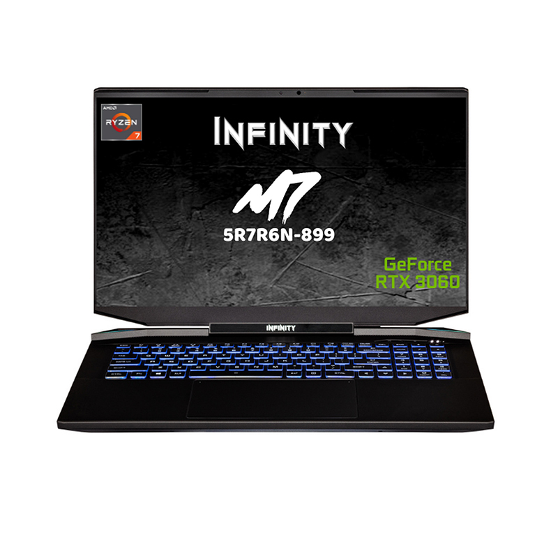 Infinity 17.3in QHD IPS 165Hz R7-5800H RTX3060P 1TB SSD 16GB RAM W10H Gaming Laptop (M7-5R7R6N-899)