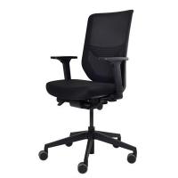Ergotron Task Chair Adjustable Seat 410mm to 520mm High 5-star Base with Arm Rest Graphite Black