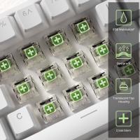 Kailh x LTC Box Switches Jade for Mechanical Gaming Keyboard DIY, 3pin Clicky RGB/SMD Waterproof MX Stem Switches with Switch Puller(30 Pcs, Jade)