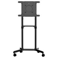 StarTech Mobile TV Cart Stand 37in to 70in VESA Mount