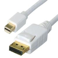 Astrotek Mini DisplayPort DP to DisplayPort DP Male to Male White Converter Cable - 1m