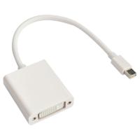 Astrotek Mini DisplayPort DP to DVI Male to Female White Cable - 20cm