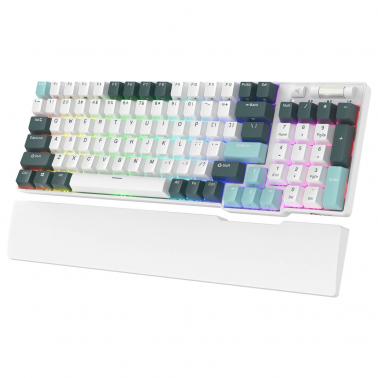 RK ROYAL KLUDGE RK96 RGB Limited Ed, 90% 96 Keys Wireless Triple Mode ...