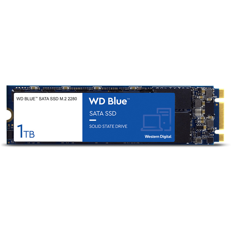 Western Digital Blue 1TB M.2 2280 SATA SSD (WDS100T2B0B)