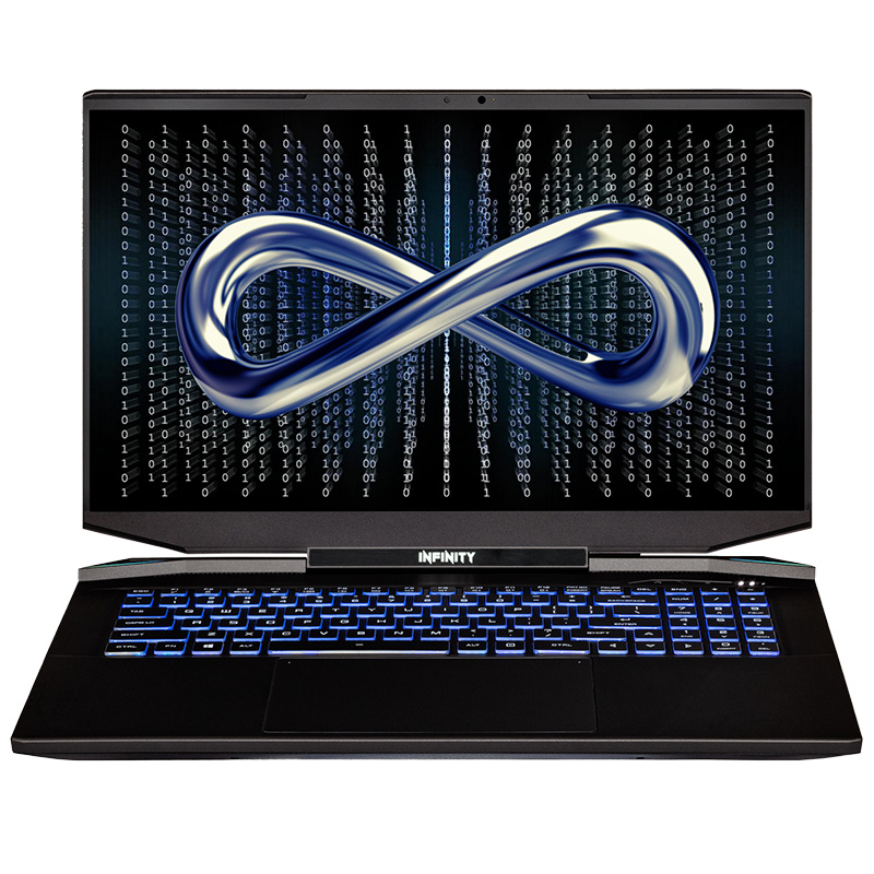 Infinity 17.3in QHD IPS 165Hz R9-5900HX RTX3070P 1TB SSD 16GB RAM W10H Gaming Laptop (M7-5R9R7N-899)