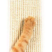 Pet-Supplies-SmartCat-Ultimate-Heavy-Duty-Sisal-Cat-Scratch-Post-81cm-Height-Beige-3