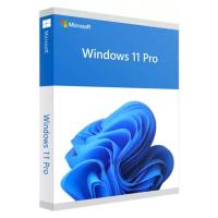 Microsoft Windows 11 Pro 64bit OEM DVD