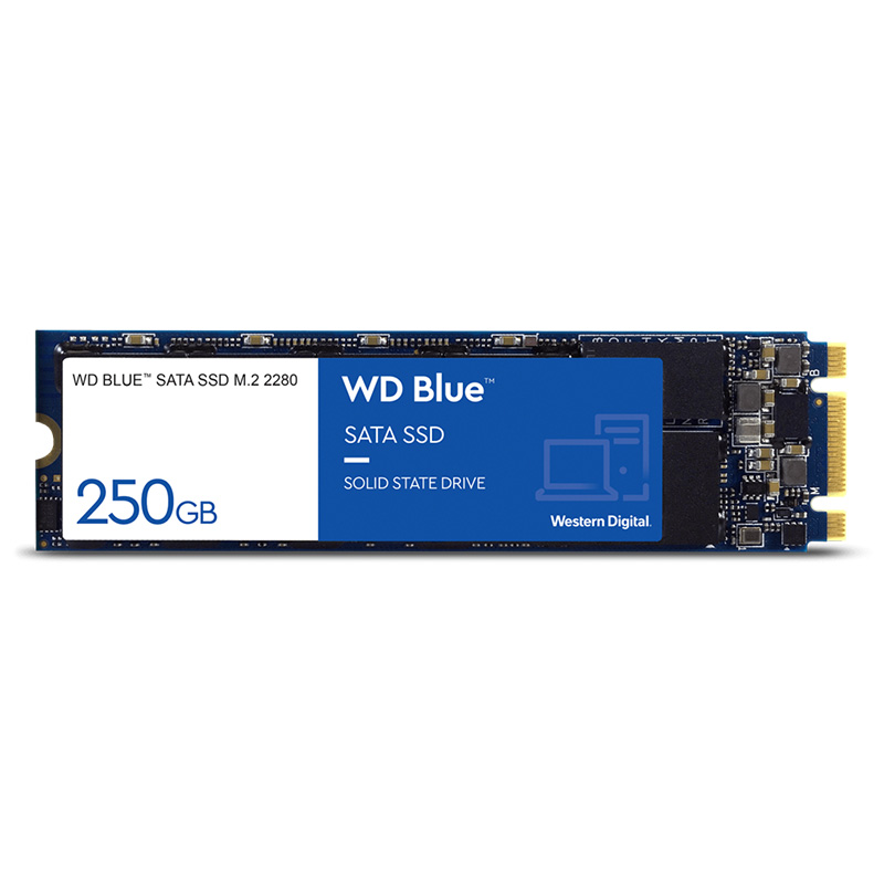 Western Digital Blue 250GB M.2 2280 SATA SSD (WDS250G2B0B)