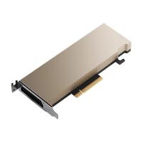 NVIDIA A2 16GB ATX Tensor Core Graphics Card (900-2G179-0020-101)