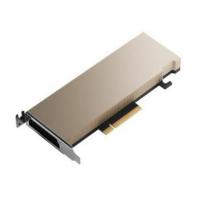 NVIDIA A2 16GB Low Profile Tensor Core Graphics Card (900-2G179-0020-100)