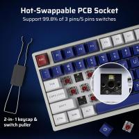 Keyboards-LTC-Nimbleback-NB831-Wireless-75-3-Mode-BT5-0-2-4Ghz-USB-C-Wired-81-Keys-RGB-PBT-Keycaps-Hot-Swappable-Mechanical-Keyboard-Mecha-Blue-5