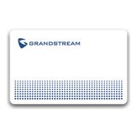 Grandstream RFID Coded Access Cards (RFID Card Bundle (100pcs))
