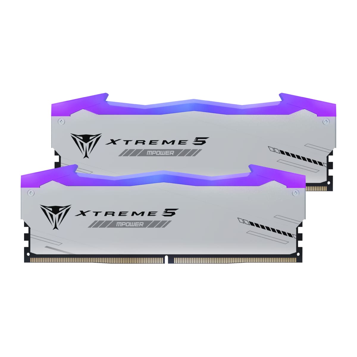 Memory-RAM-PATRIOT-VIPER-