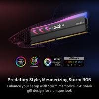 DDR5-RAM-SP-Silicon-Power-XPOWER-STORM-RGB-DDR5-32GB-2x16GB-6400MHz-Gaming-Memory-Supports-Intel-XMP-AMD-EXPO-CL32-UDIMM-Desktop-PC-Computer-RAM-Memory-White-6