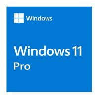 Microsoft Windows 11 Pro 64 bit - Online Download ESD (FQC-10572)