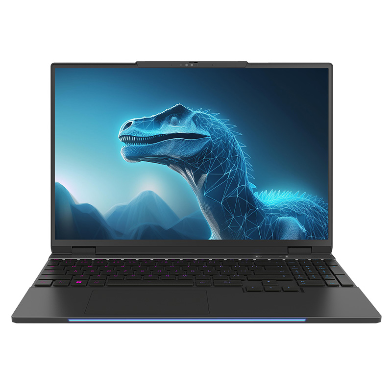 Infinity A5 15.3in WQXGA 240Hz i7-14650HX RTX 4060 1TB SSD 16GB RAM W11H Gaming Laptop (A5-14R6ARL7-899)