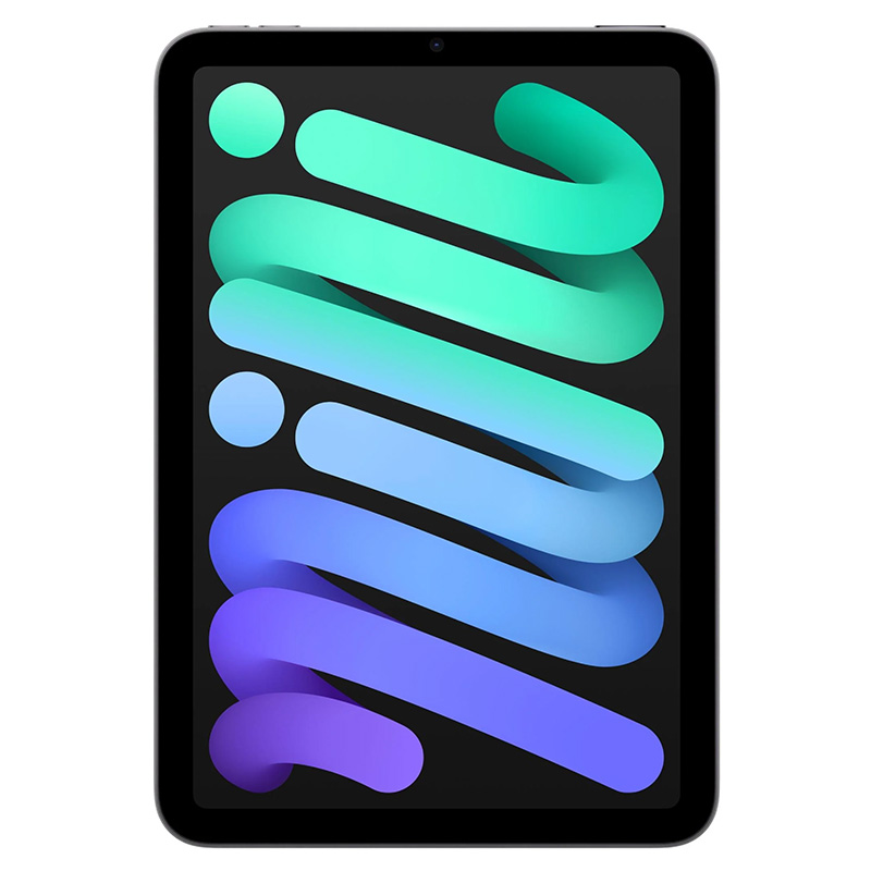 Apple 8.3in iPad mini - Wi-Fi 256GB - Space Grey (MXNA3X/A