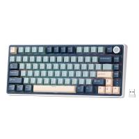 RK ROYAL KLUDGE R75Pro Mechanical Keyboard, RGB, 2.4Ghz/BT/Wired, Customized Switches, Green, Mixed Color