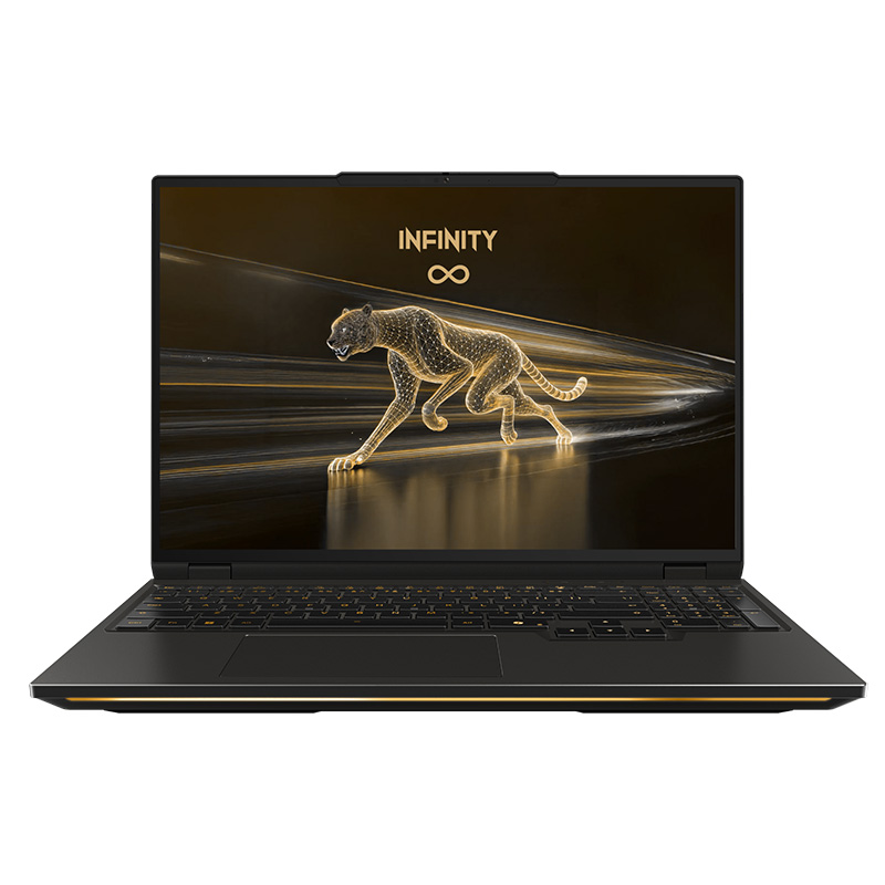 Infinity 16in WQXGA 300Hz U9-275HX RTX 5080 1TB SSD 32GB RAM W11H Gaming Laptop (Y16-U9R8BW-999)