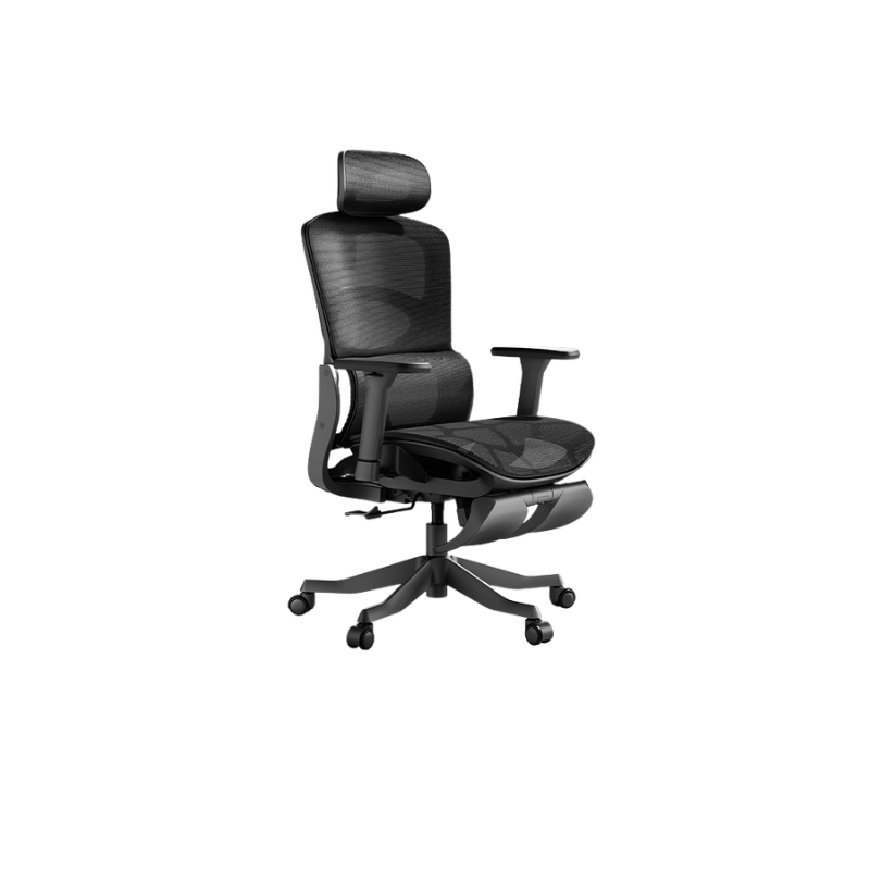 Autofull HBADA P2 Pro+ ergonomic chair With 2D Headrest & 3D Lumbar support (E216BVC)(Black)