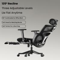 Gaming-Chairs-Autofull-HBADA-P2-Pro-ergonomic-chair-With-2D-Headrest-3D-Lumbar-support-E216BVC-Black-11