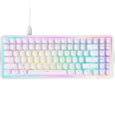 NZXT Function Elite Mini TKL Wired Gaming Keyboard - White (KB-101NW-US)