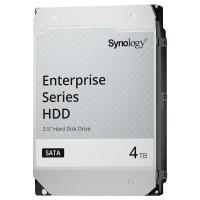 Synology 4TB HAT5320-4T 7200RPM 3.5in SATA Enterprise Hard Drive