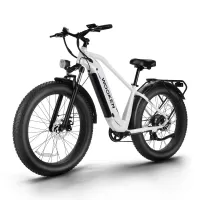 Electric-Bicycles-WOOKEN-26-x-4-0-Fat-Tire-Ebike-14