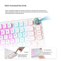 Gaming-Keyboards-FURYCUBRIP75-wired-keyboard-stylish-PBT-glowing-office-gaming-keyboard-4