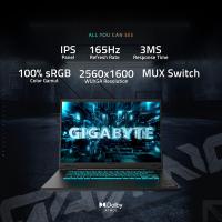 Gigabyte-Laptops-Gigabyte-Gaming-A16-Pro-GA6DH-16in-WQXGA-165Hz-IPS-Core-7-240H-RTX-5070-Ti-1TB-SSD-32GB-RAM-W11H-Gaming-Laptop-GAMING-A16-PRO-DXHG4AUCC4SH-17