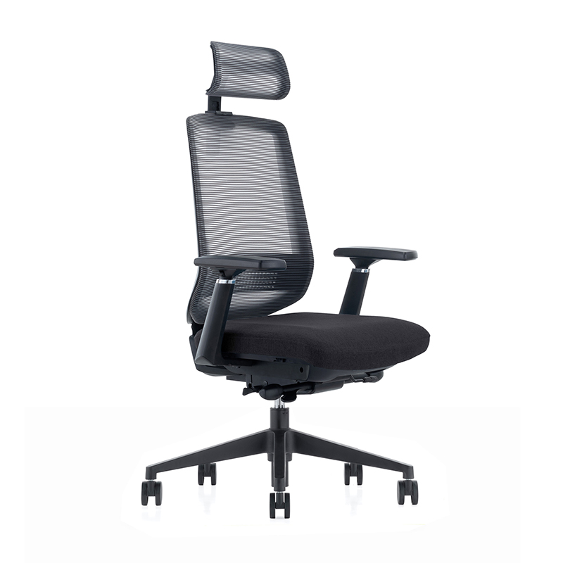 LDR ErgoLite Ultra Chair Premium Ergonomic Office Chair (ERGOLITE-ULTRA-BLACK)