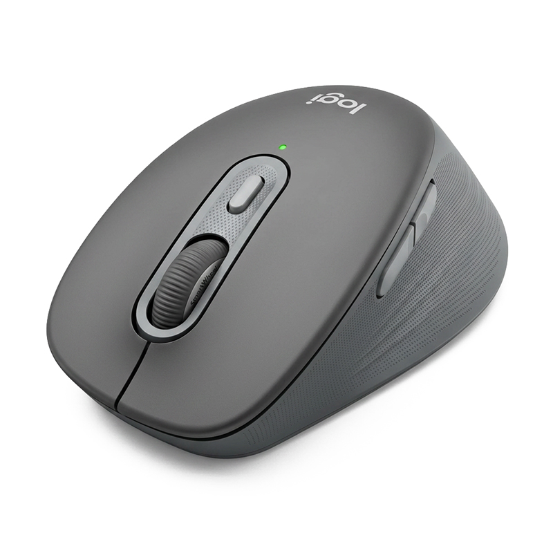 Logitech Signature Comfort Plus M850 L Wireless Bluetooth Mouse - Graphite (910-007733)