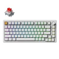 Keychron J2 QMK RGB Wireless Mechanical Keyboard White - Apex Red Switch (KBKCJ2Q1A)