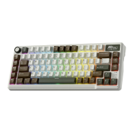 Keyboards-RK-ROYAL-KLUDGE-Mechanical-Keyboard-L75-RGB-2-4Ghz-BT-Wired-Beige-Switch-Palm-Green-19