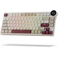 RK ROYAL KLUDGE N80 Low Profile Wireless Mechanical Smart Display Screen & Knob 75% Top Mount 3-Modes Keyboard, Tactile Brown Switch