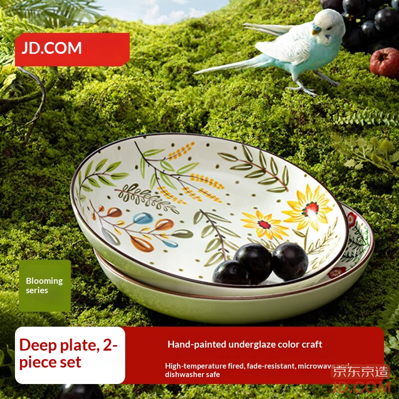 JD American Plate Grilled Fish Steak Western Fruit Salad Dish Home Floral Series 8-inch*2