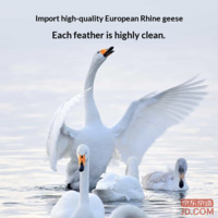 f20f121b23e7c6f4-f-w_200